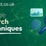 Image search techniques