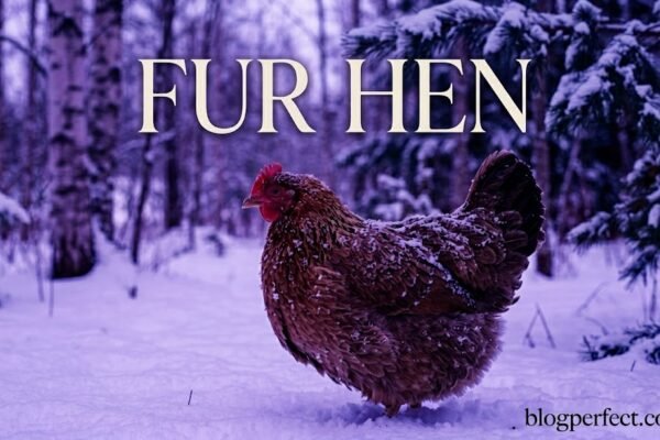Fur Hen